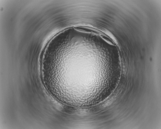 X0000060781096200511171237