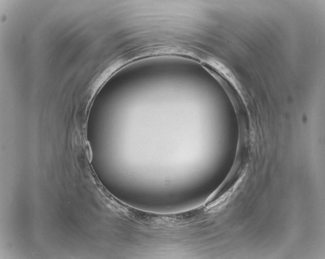 X0000060781097200511171237