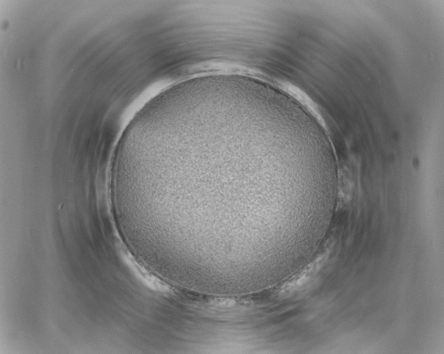 X0000060781098200511171237