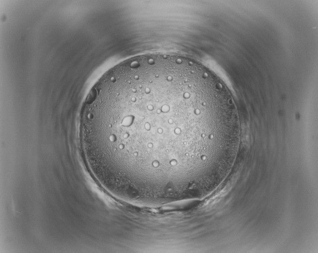 X0000060781099200511171236