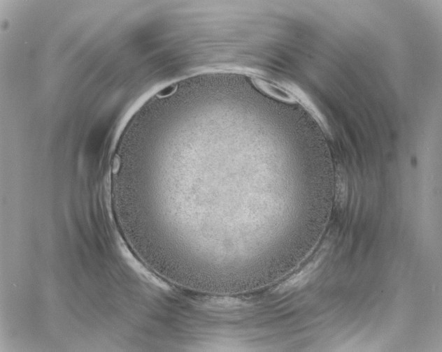 X0000060781100200511171236