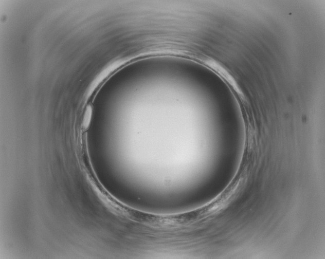 X0000060781101200511171236