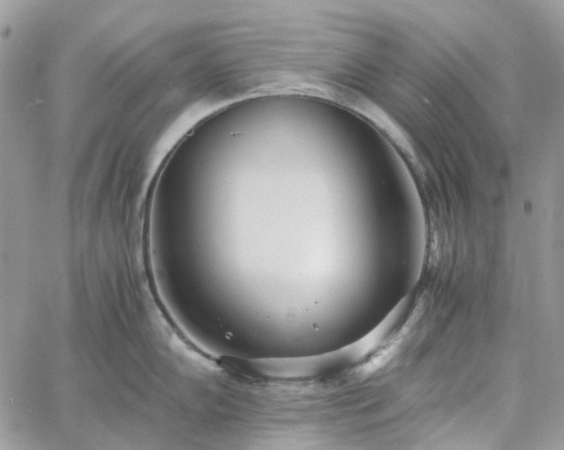 X0000060781102200511171236