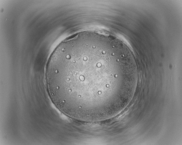 X0000060781103200511171236