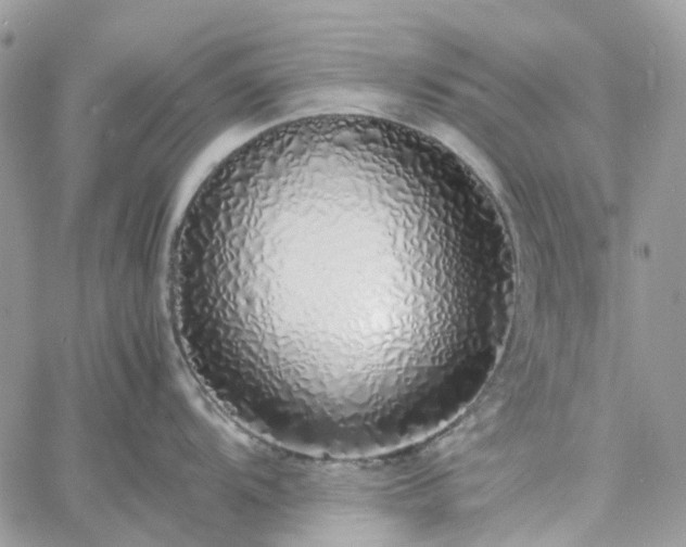 X0000060781104200511171236