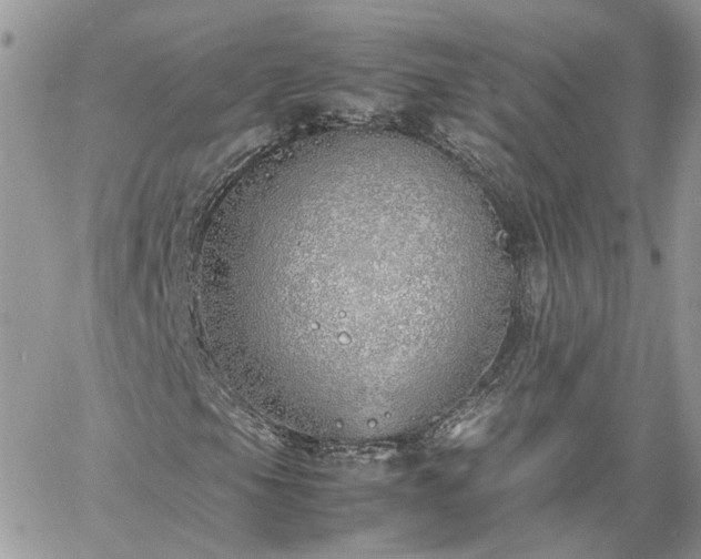 X0000060781105200511171236