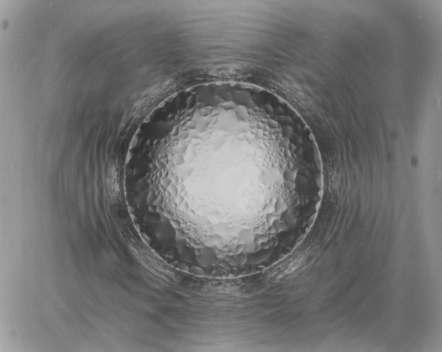 X0000060781106200511171236