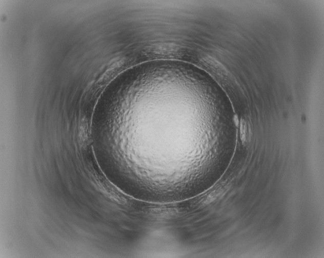 X0000060781107200511171236