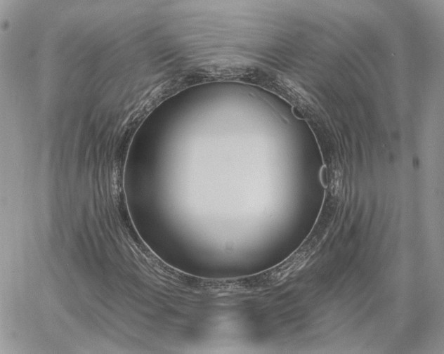 X0000060781108200511171236