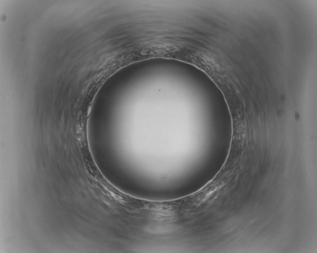 X0000060781109200511171236