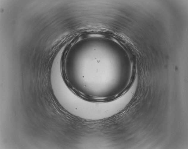 X0000060781110200511171236