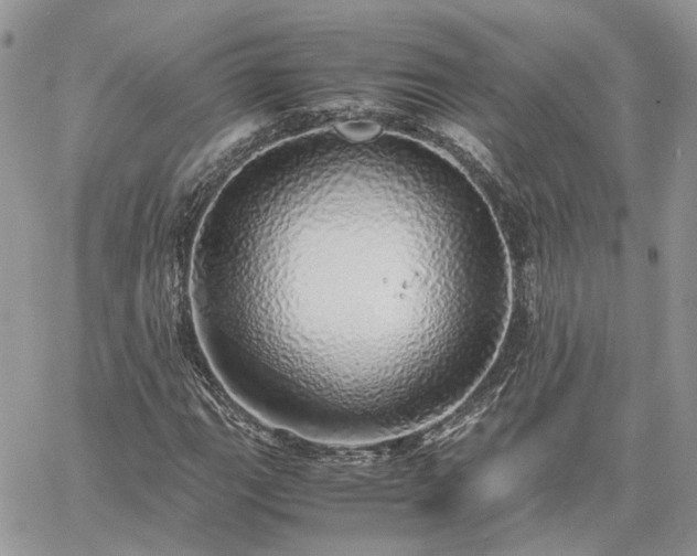 X0000060781111200511171236