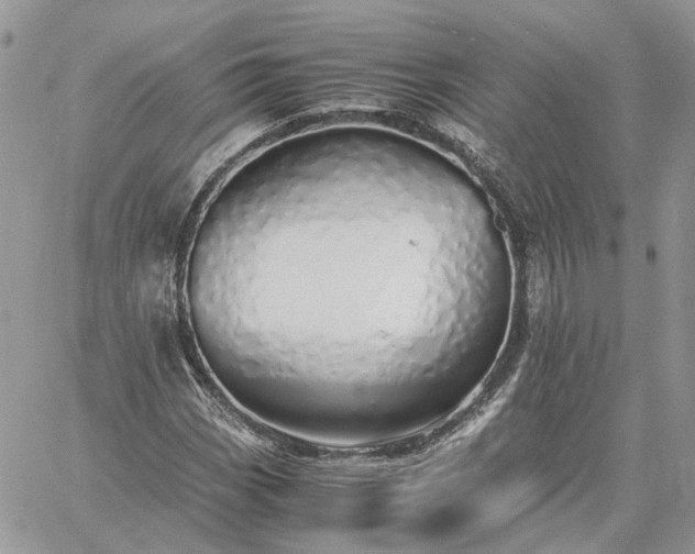 X0000060781113200511171236