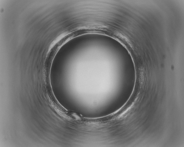 X0000060781114200511171236