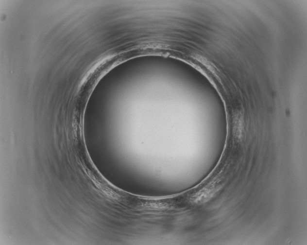 X0000060781115200511171236