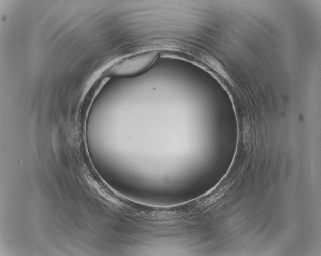 X0000060781116200511171236