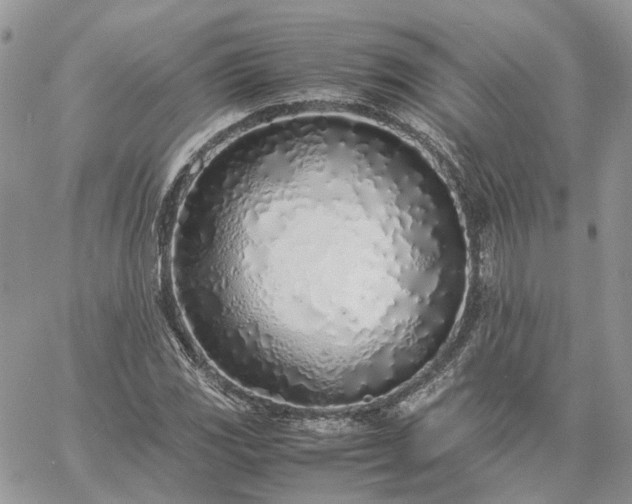 X0000060781117200511171236