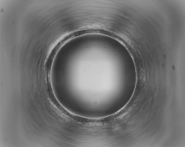 X0000060781118200511171236