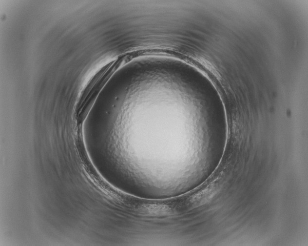 X0000060781119200511171236