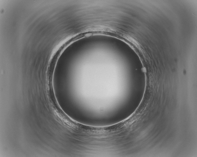 X0000060781120200511171236