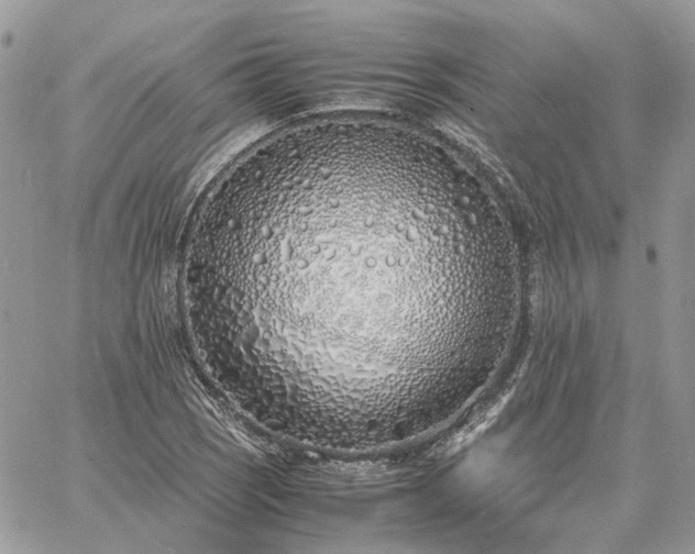 X0000060781121200511171236