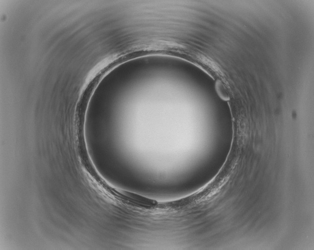 X0000060781122200511171236