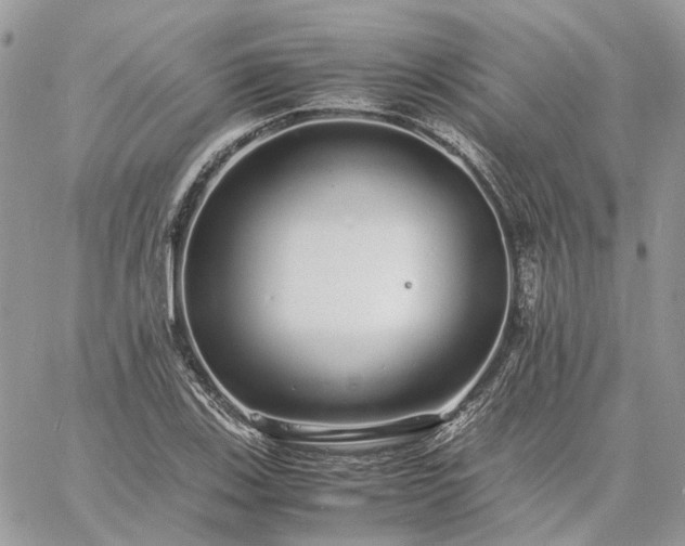 X0000060781123200511171236