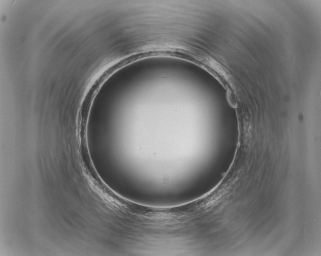 X0000060781124200511171236