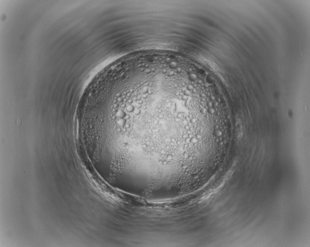 X0000060781125200511171236