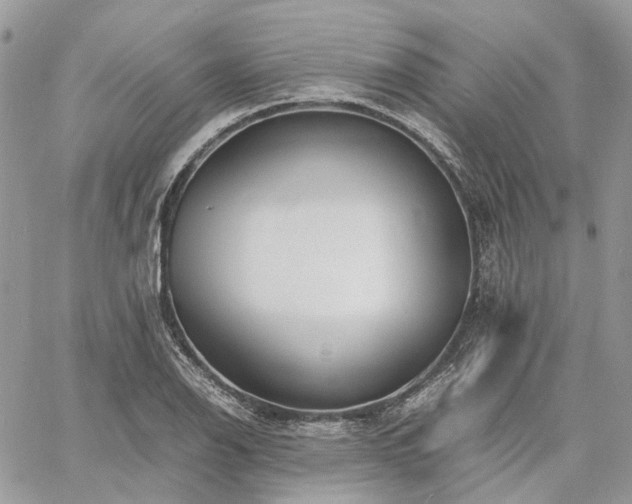 X0000060781126200511171236