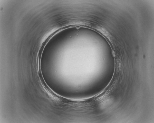 X0000060781127200511171236