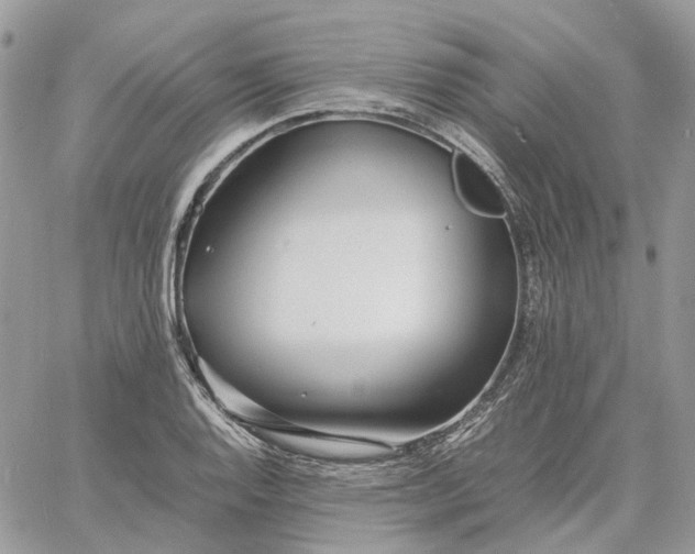 X0000060781128200511171236