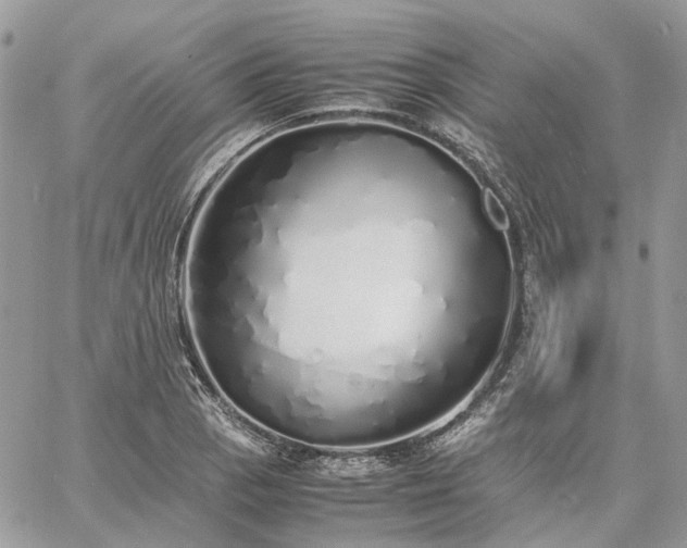 X0000060781129200511171236