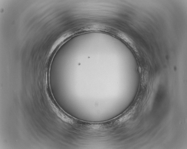 X0000060781130200511171236