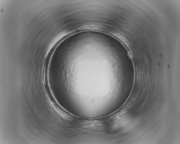 X0000060781131200511171236