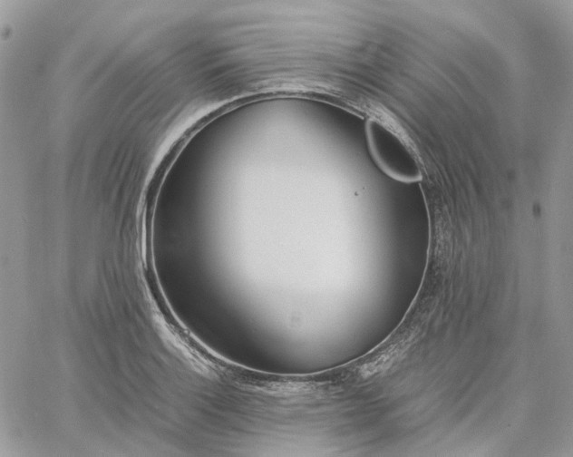 X0000060781132200511171236