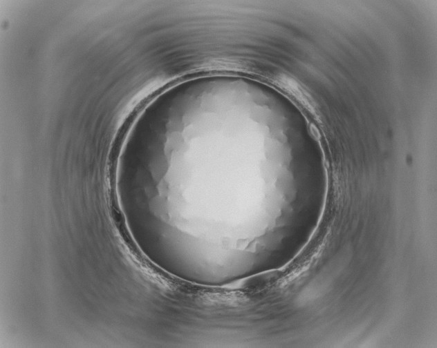 X0000060781133200511171236