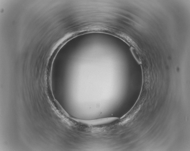 X0000060781134200511171236