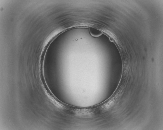 X0000060781135200511171236