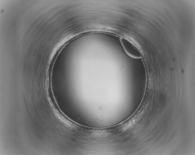 X0000060781136200511171236