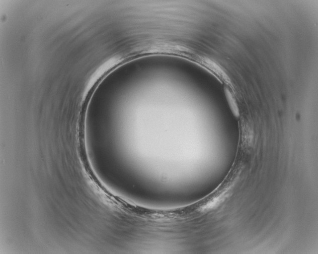 X0000060781138200511171236