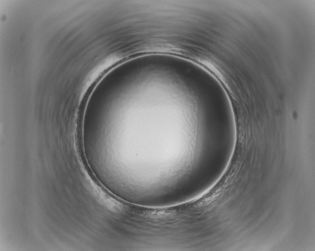 X0000060781139200511171236