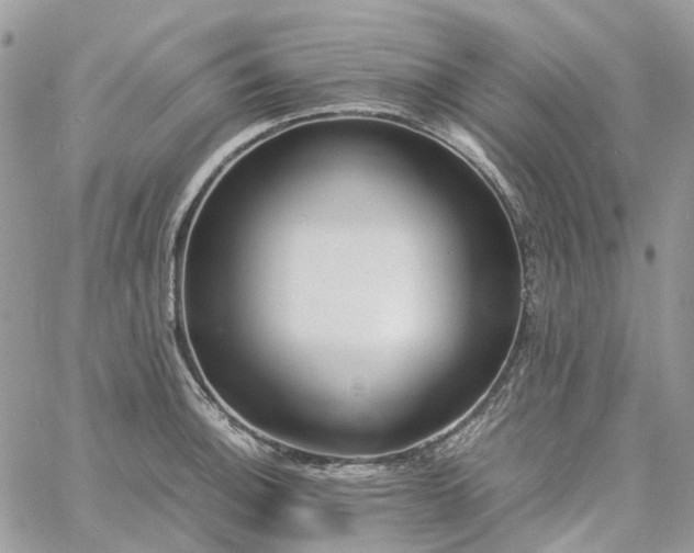 X0000060781140200511171236