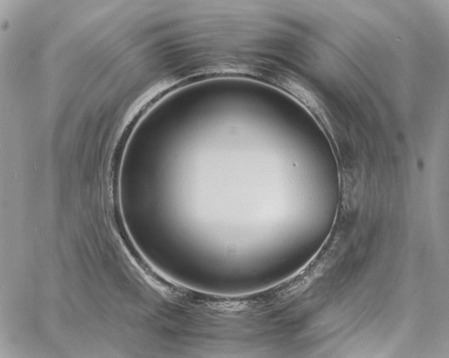 X0000060781141200511171236