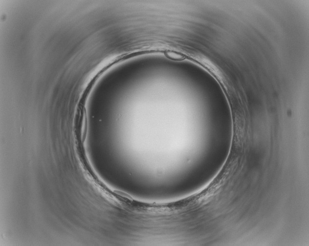 X0000060781142200511171236