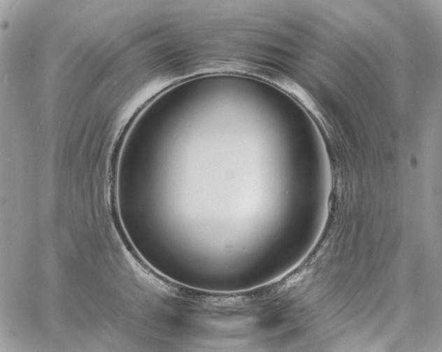 X0000060781143200511171236