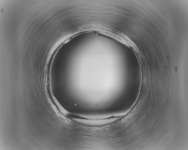 X0000060781144200511171236