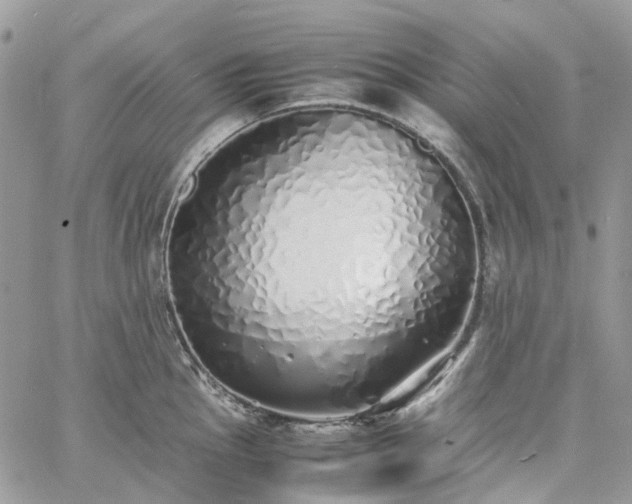 X0000060781145200511171236