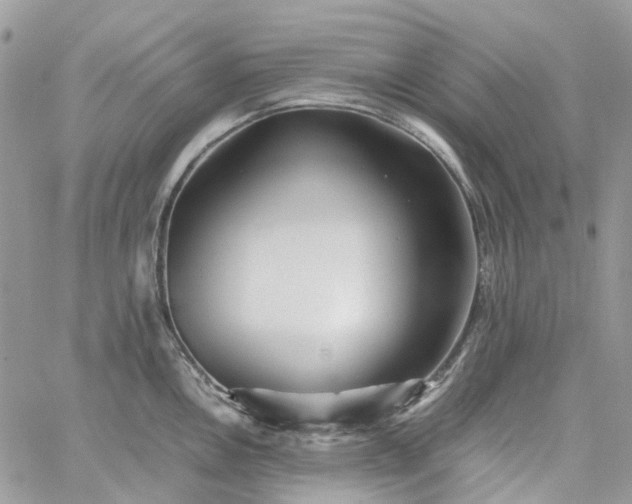 X0000060781146200511171236