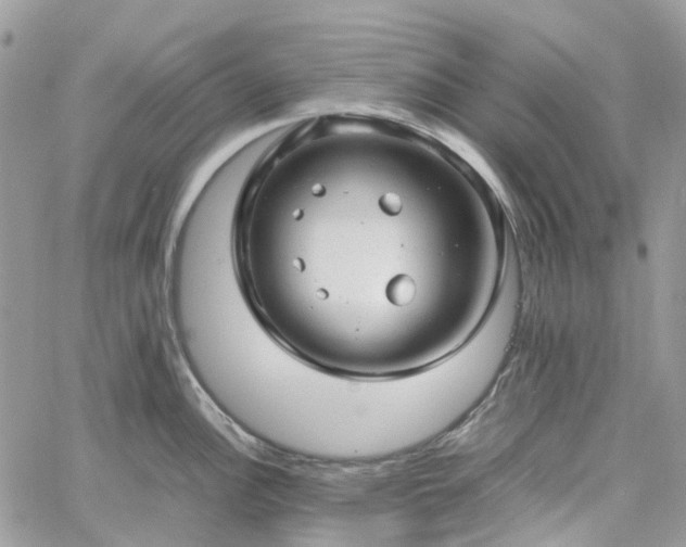 X0000060781148200511171236